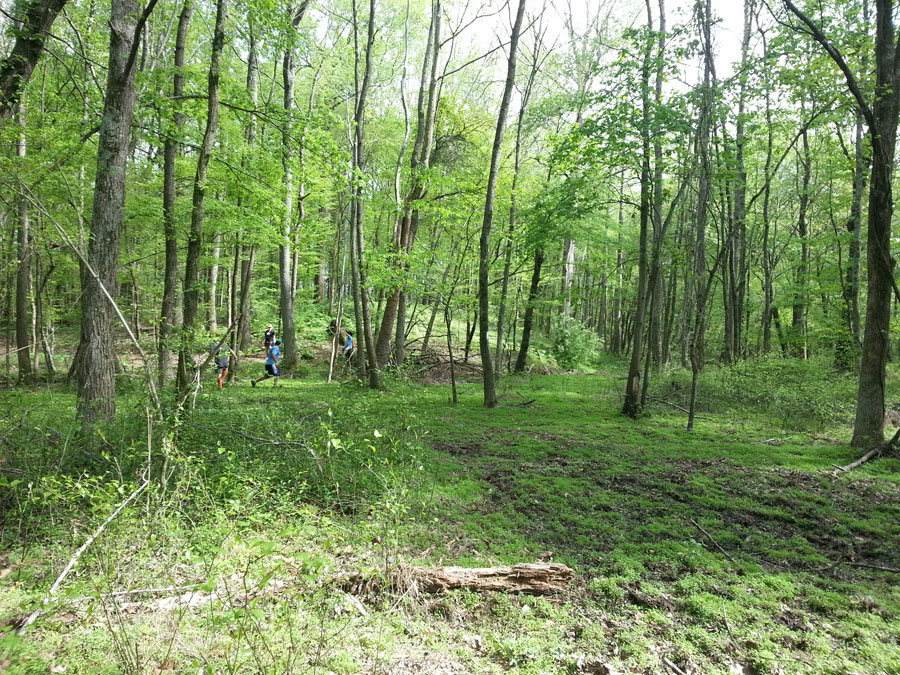 Gorgeous view at the hash. Not quite public property, but still. 